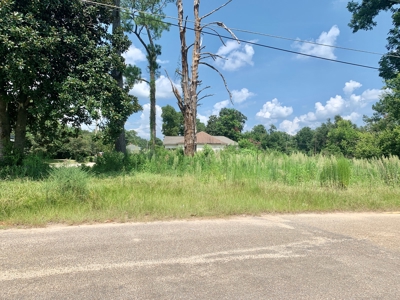 Vacant Lot for sale Hartford Alabama - Residential - image 1