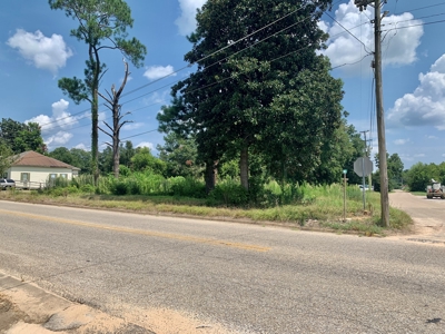 Vacant Lot for sale Hartford Alabama - Residential - image 3