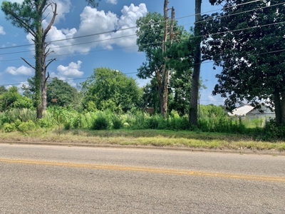 Vacant Lot for sale Hartford Alabama - Residential - image 4