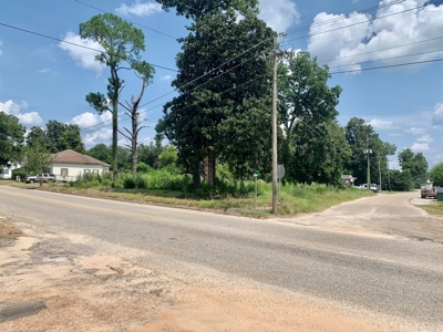Vacant Lot for sale Hartford Alabama - Residential - image 2