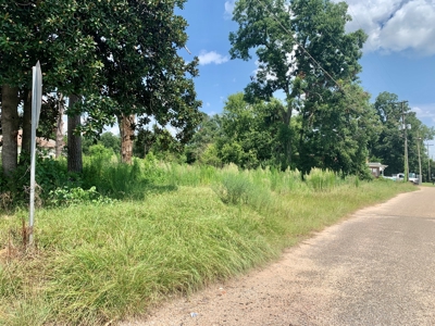 Vacant Lot for sale Hartford Alabama - Residential - image 6