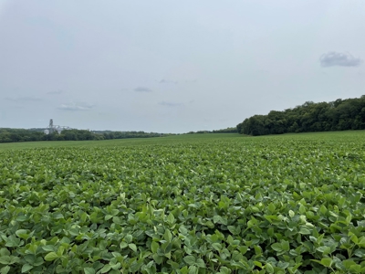 John Laper Homestead Inc. Green Lake County Bush Farm Live A - image 38