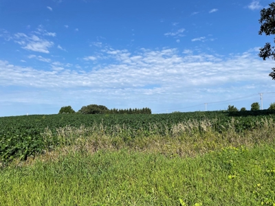 John Laper Homestead Inc. Green Lake County Bush Farm Live A - image 46