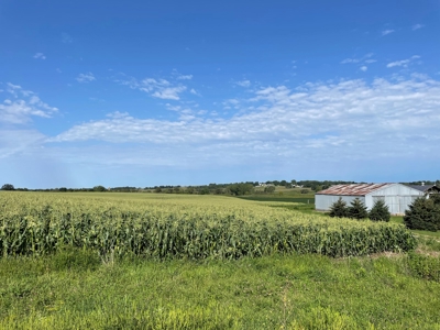 John Laper Homestead Inc. Green Lake County Bush Farm Live A - image 50