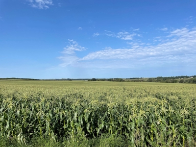 John Laper Homestead Inc. Green Lake County Bush Farm Live A - image 45