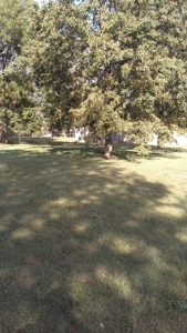 Charming home for sale in Marshall, MO - image 12