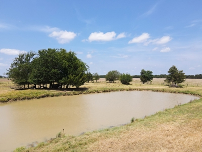 Bois D'arc Lake Land Property For Sale Fannin County Texas - image 26