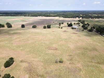 Bois D'arc Lake Land Property For Sale Fannin County Texas - image 24