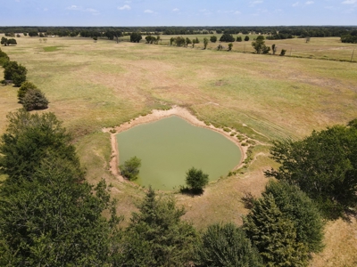 Bois D'arc Lake Land Property For Sale Fannin County Texas - image 31