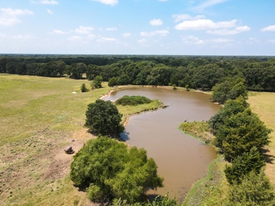 Bois D'arc Lake Land Property For Sale Fannin County Texas - image 29
