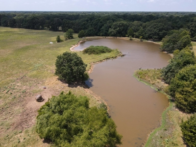 Bois D'arc Lake Land Property For Sale Fannin County Texas - image 30