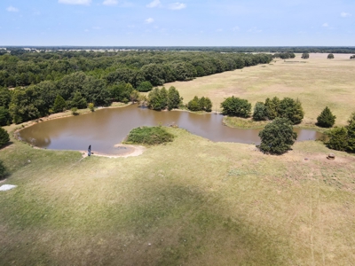 Bois D'arc Lake Land Property For Sale Fannin County Texas - image 21