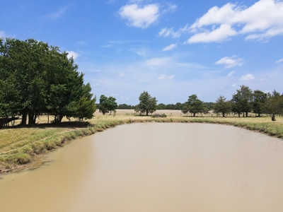 Bois D'arc Lake Land Property For Sale Fannin County Texas - image 25