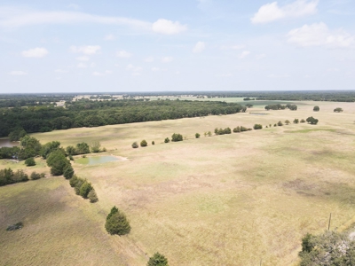 Bois D'arc Lake Land Property For Sale Fannin County Texas - image 9