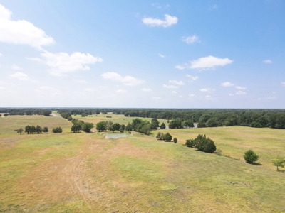 Bois D'arc Lake Land Property For Sale Fannin County Texas - image 2