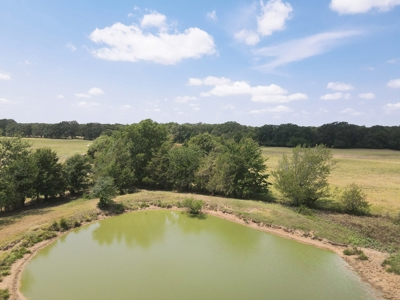 Bois D'arc Lake Land Property For Sale Fannin County Texas - image 27
