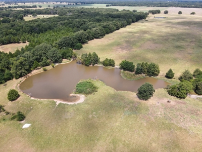 Bois D'arc Lake Land Property For Sale Fannin County Texas - image 22