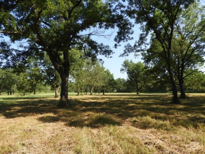 82 ac +/- Tr. 4 of 4   No Reserve Land Auction, Sparks OK - image 7