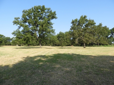 82 ac +/- Tr. 4 of 4   No Reserve Land Auction, Sparks OK - image 1
