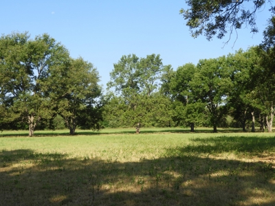 82 ac +/- Tr. 4 of 4   No Reserve Land Auction, Sparks OK - image 3