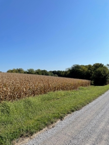 SOLD!! Rob Pyatt - Buchanan County Land Auction - image 6