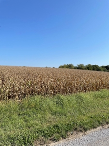 SOLD!! Rob Pyatt - Buchanan County Land Auction - image 5
