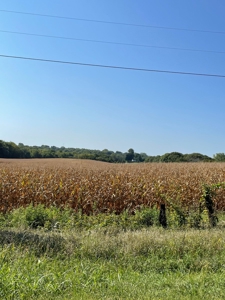SOLD!! Rob Pyatt - Buchanan County Land Auction - image 2