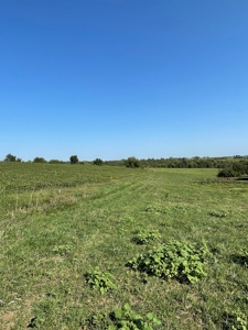 SOLD!! Rob Pyatt - Buchanan County Land Auction - image 19