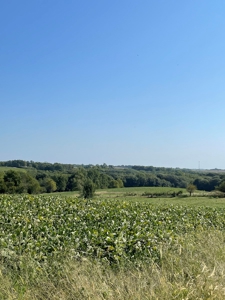 SOLD!! Rob Pyatt - Buchanan County Land Auction - image 15