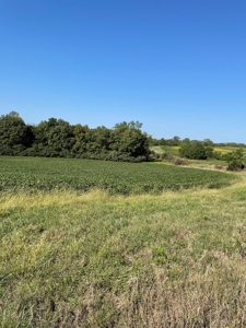 SOLD!! Rob Pyatt - Buchanan County Land Auction - image 8