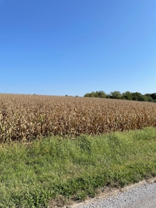 SOLD!! Tract 1 Pyatt  Buchanan County Missouri Land Auction - image 9