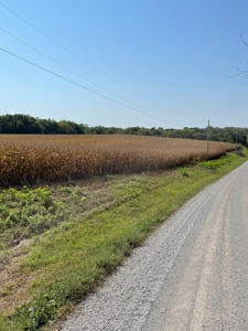SOLD!! Tract 1 Pyatt  Buchanan County Missouri Land Auction - image 4