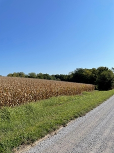SOLD!! Tract 1 Pyatt  Buchanan County Missouri Land Auction - image 10