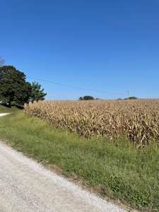 SOLD!! Tract 1 Pyatt  Buchanan County Missouri Land Auction - image 11