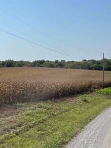 SOLD!! Tract 1 Pyatt  Buchanan County Missouri Land Auction - image 7