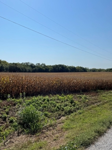 SOLD!! Tract 1 Pyatt  Buchanan County Missouri Land Auction - image 8