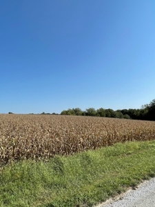 SOLD!! Tract 1 Pyatt  Buchanan County Missouri Land Auction - image 13