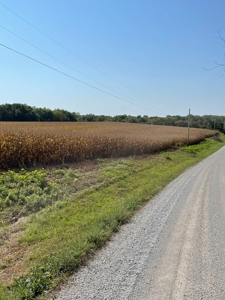 SOLD!! Tract 1 Pyatt  Buchanan County Missouri Land Auction - image 6