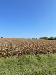 SOLD!! Tract 1 Pyatt  Buchanan County Missouri Land Auction - image 12