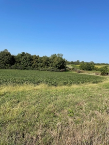 Sold!! Tract 2 Pyatt Buchanan County Missouri Land Auction - image 3