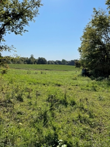 Sold!! Tract 2 Pyatt Buchanan County Missouri Land Auction - image 15