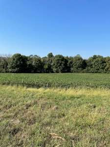 Sold!! Tract 2 Pyatt Buchanan County Missouri Land Auction - image 4
