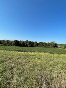 Sold!! Tract 2 Pyatt Buchanan County Missouri Land Auction - image 6