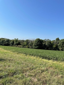 Sold!! Tract 2 Pyatt Buchanan County Missouri Land Auction - image 5