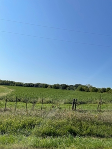 Sold!! Tract 2 Pyatt Buchanan County Missouri Land Auction - image 10