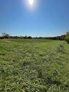Sold!! Tract 2 Pyatt Buchanan County Missouri Land Auction - image 13