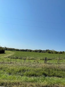 Sold!! Tract 2 Pyatt Buchanan County Missouri Land Auction - image 9