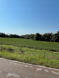 Sold!! Tract 2 Pyatt Buchanan County Missouri Land Auction - image 7