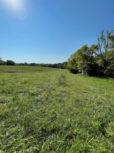 Sold!! Tract 2 Pyatt Buchanan County Missouri Land Auction - image 14