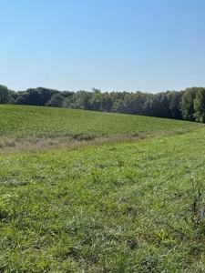 Sold!! Tract 2 Pyatt Buchanan County Missouri Land Auction - image 12